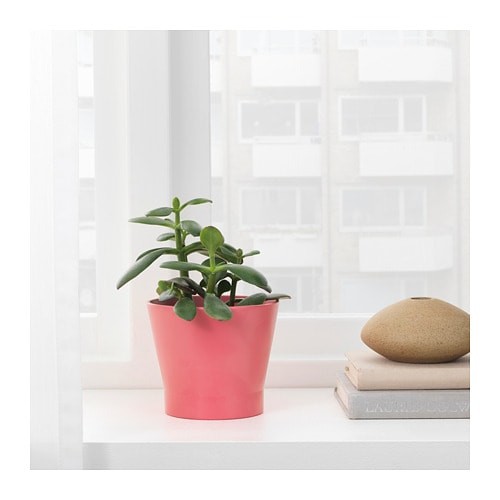 Ikea イケア Papaja 鉢カバー 9cmレッド Nの通販はau Pay マーケット 株式会社クレール