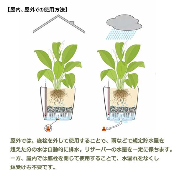 デザイン プランター 0 5l 手間いらず 底面灌水 植木鉢 カラー プラスチック 専用クレイ 土 セット デルティーニ おしゃれ レチューザ プの通販はau Pay マーケット Viewgarden