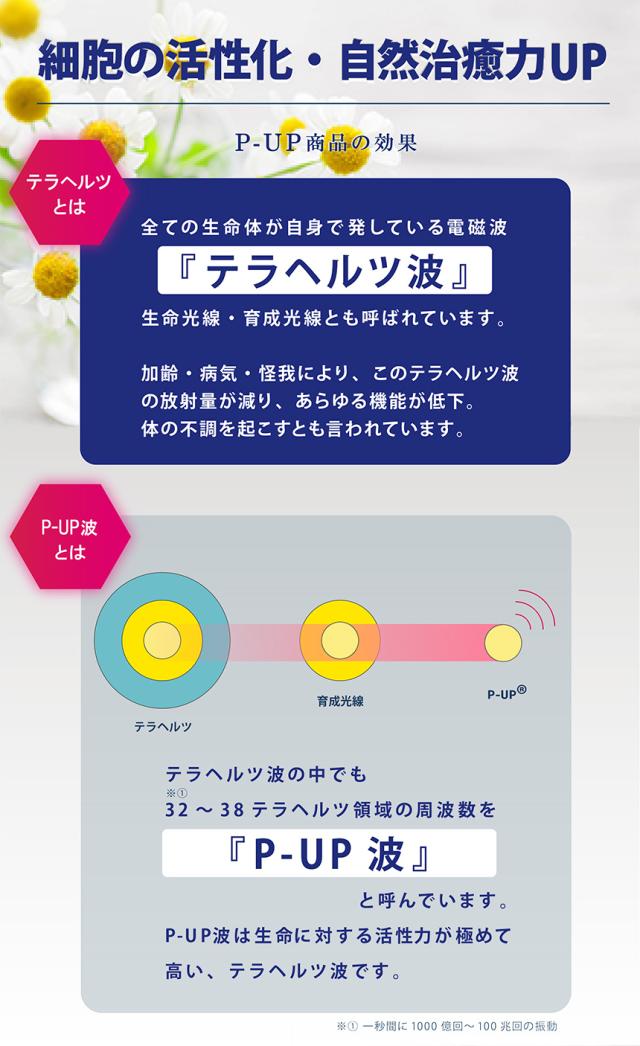 超美振動 スカルプブラシ P Up ソムリエ シャンプーブラシ ピーアップ テラヘルツ 櫛 くし クシ インバス用 頭皮ケアの通販はau Pay マーケット 渋谷トレンド Au Pay マーケット店