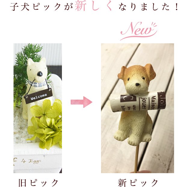 プリザーブドフラワー ギフト 観葉植物 インテリアグリーン 雑貨 プリザーブドグリーン 誕生日 プレゼント 友達 寄せ植え キッチン ガーの通販はau Pay マーケット 花ギフト サンクスブーケ