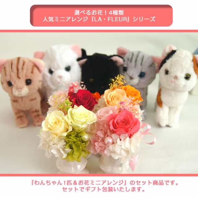 プリザーブドフラワー ギフト アレンジメント ねこ 猫 ぬいぐるみ 花とセット 誕生日 義母ペット にゃんプチの通販はau Pay マーケット 花ギフト サンクスブーケ