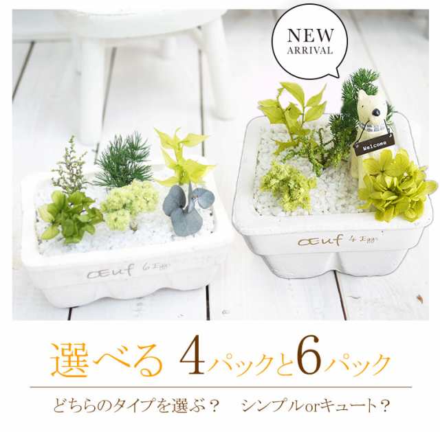 プリザーブドフラワー ギフト 観葉植物 インテリアグリーン 雑貨 プリザーブドグリーン 誕生日 プレゼント 友達 寄せ植え キッチン ガーの通販はau Pay マーケット 花ギフト サンクスブーケ