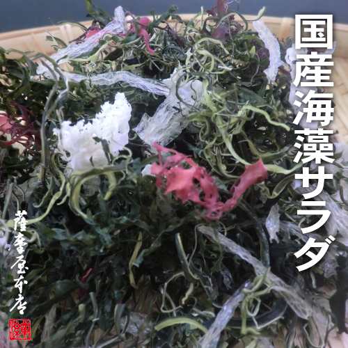 国産海藻サラダ 7種ミックス 100g 国産原料100 乾燥タイプ くきわかめ わかめ 昆布 糸寒天 とさか ふのり まふのり の通販はau Pay マーケット 国産乾物専門問屋 薩摩屋本店