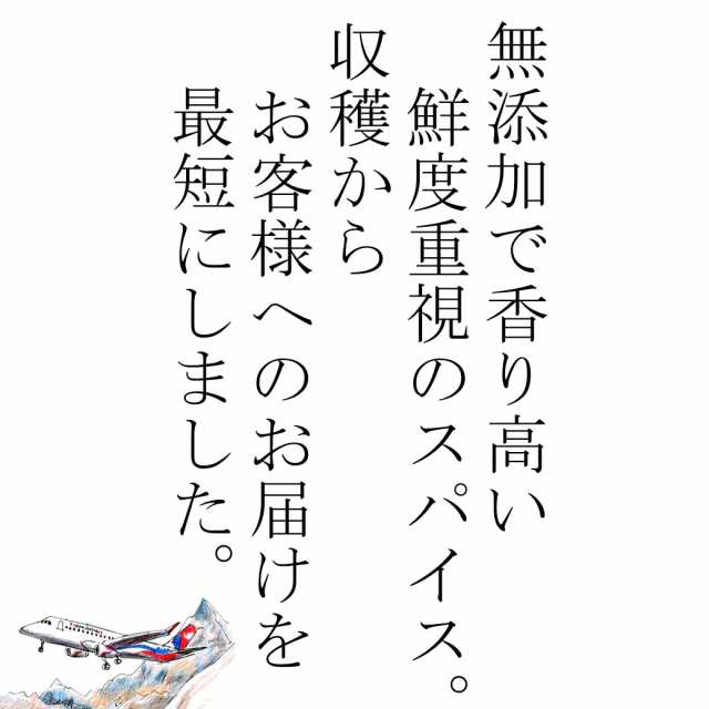 100％ ヒハツ パウダー 100g 送料無料 ヒハツ ロングペッパー ヒハツ粉末 ヒハツパウダー ひはつ スパイス 香辛料 タイツー Tie2  インドの通販はau PAY マーケット - Eight Shop（ナッツ＆ドライフルーツ＆スパイス専門店）