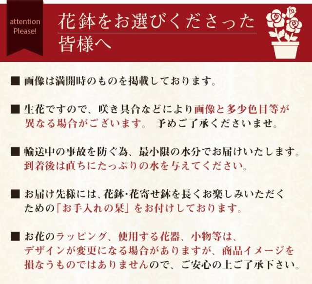 母の日 プレゼント ギフト 花 鉢植え 寄せ鉢 イベントギフトe 21 送料無料 メッセージカード ダリア バラ カランコエ カリブラコア 花の通販はau Pay マーケット Bunbun Bee