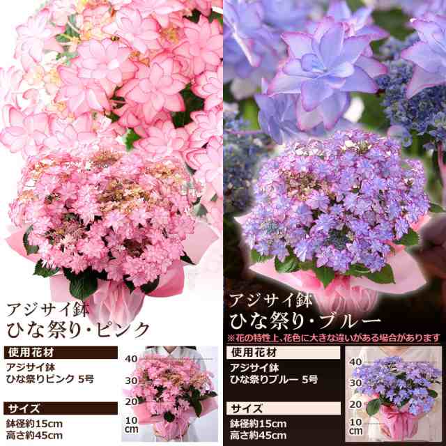 クーポンで最大500円off 母の日 プレゼント ギフト 花 鉢植え 寄せ鉢 アレンジ 花束 イベントギフトa 21 送料無料 メッセージカードの通販はau Pay マーケット Bunbun Bee