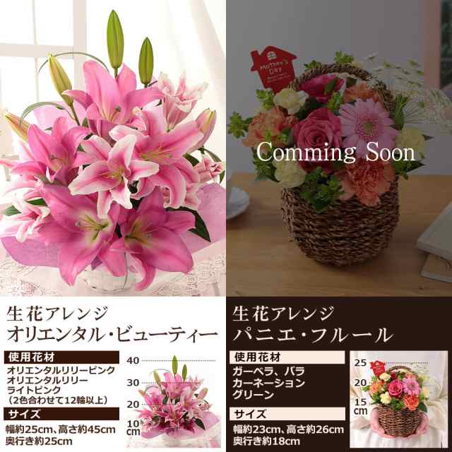 クーポンで最大500円off 母の日 プレゼント ギフト 花 鉢植え イベントギフトc 21 送料無料 アレンジ 花束 ブーケ アジサイ 花鉢 バの通販はau Pay マーケット Bunbun Bee