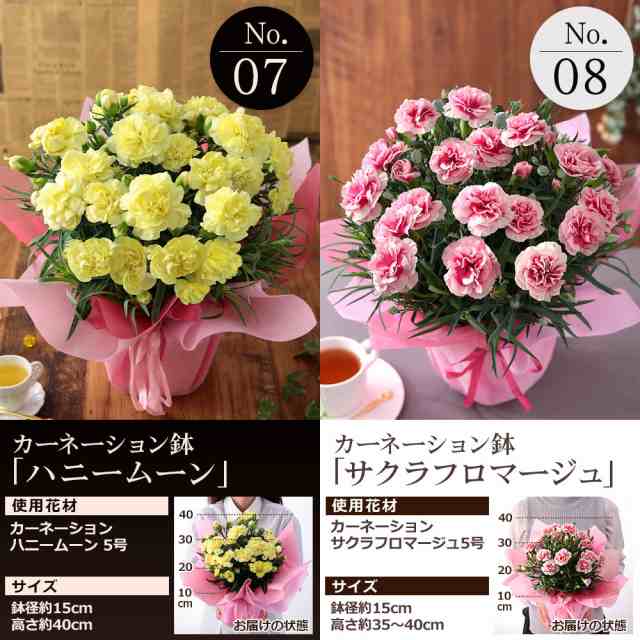 母の日 花とセット カーネーション 花 プレゼント 【5大特典付