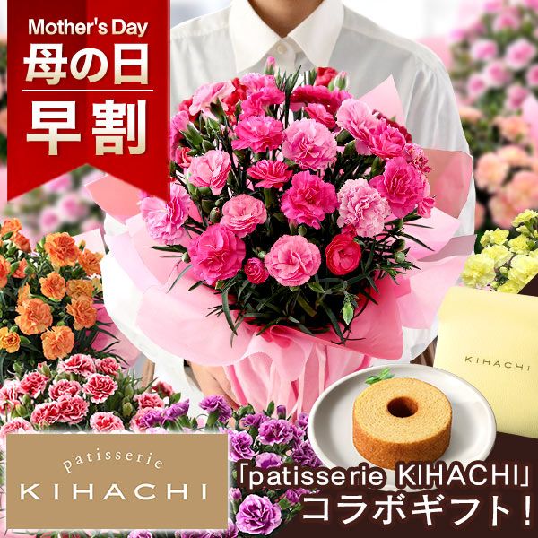 早割実施中 母の日 ギフト カーネーション 5号 鉢植え プレゼント 花 花鉢 選べる12種類 5大特典付き イベントギフトf 23 送料無料 赤の通販はau Pay マーケット Bunbun Bee