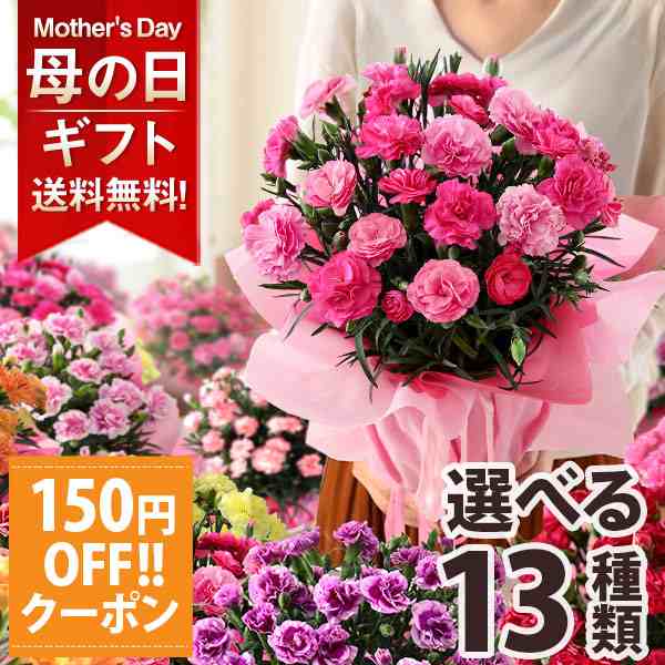 150円offクーポン 母の日 花 ギフト プレゼント 鉢植え カーネーション 5号鉢 花鉢 選べる2種類 イベントギフトu 22 送料無料 定番 赤 の通販はau Pay マーケット Bunbun Bee