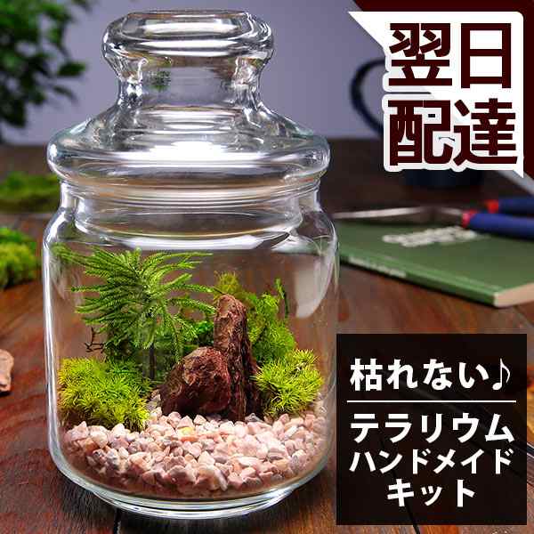 あす着 14時まで 苔 テラリウム キット ハンドメイドキット プリザーブドモス 手作り おしゃれ インテリア 誕生日プレゼント プレゼント の通販はau Pay マーケット Bunbun Bee