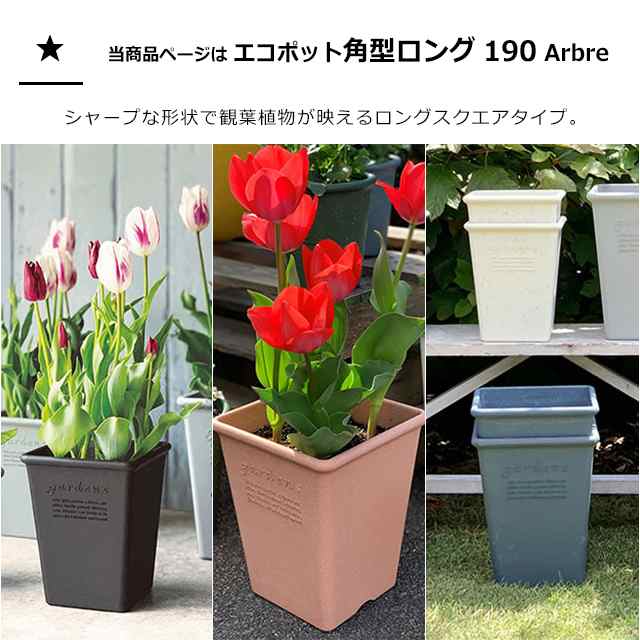 観葉植物 ポット おしゃれ スクエアポット 24型 アイボリー色 幅240× 高さ220× 奥行240mm 植木鉢 通販 観葉植物 ポット おしゃれ スクエアポット 24型 ダークグリーン色 幅240× 高さ220× 奥行240mm 植木鉢