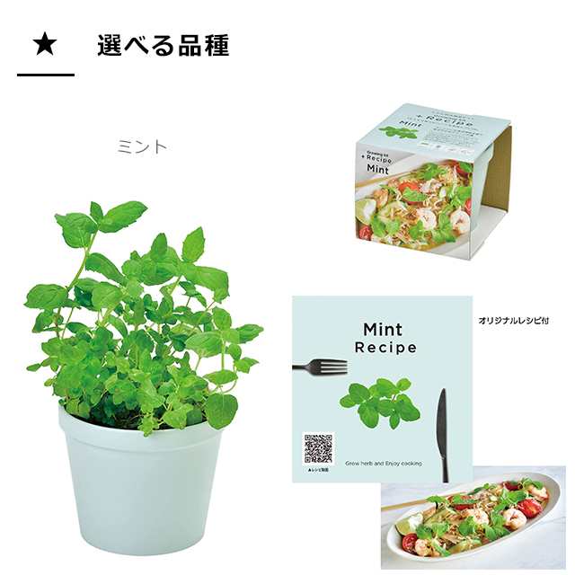 栽培セット ハーブ 聖新陶芸 レシピ付き栽培セット +Recipe GD-951