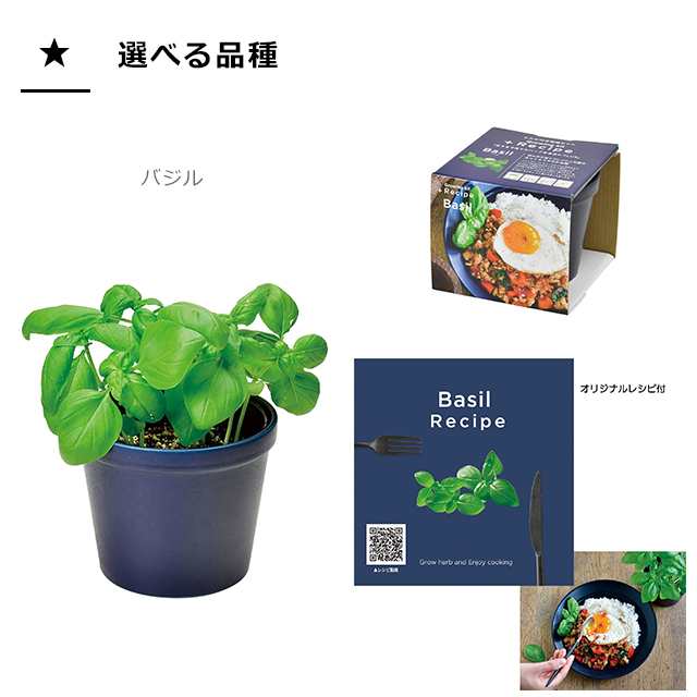 栽培セット ハーブ 聖新陶芸 レシピ付き栽培セット +Recipe GD-951