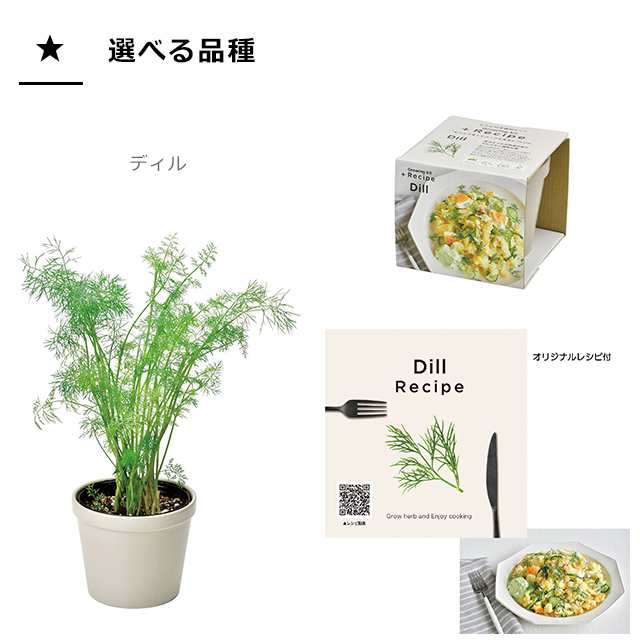 栽培セット ハーブ 聖新陶芸 レシピ付き栽培セット +Recipe GD-951