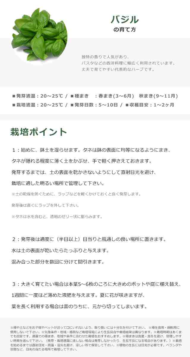 栽培セット ハーブ 聖新陶芸 レシピ付き栽培セット +Recipe GD-951 【聖新陶芸 栽培セット 栽培キット 室内 ハーブ ミント  イタリアンパの通販はau PAY マーケット - Fine Dream (ファインドリーム) au PAY マーケット店