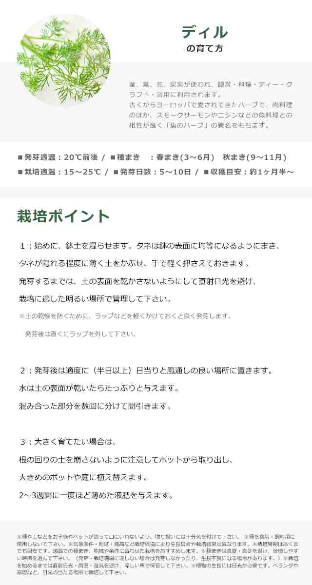 栽培セット ハーブ 聖新陶芸 レシピ付き栽培セット +Recipe GD-951 【聖新陶芸 栽培セット 栽培キット 室内 ハーブ ミント  イタリアンパの通販はau PAY マーケット - Fine Dream (ファインドリーム) au PAY マーケット店