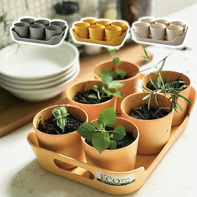 Spice スパイス エコハーブポット6個 トレイセット Tbgh 底穴あり ハーブ ガーデニングの通販はau Pay マーケット Fine Dream Spice スパイス エコハーブポット6個 トレイセット Tbgh 底穴あり ハーブ ガーデニングの通販はau Pay マーケット Fine Dream