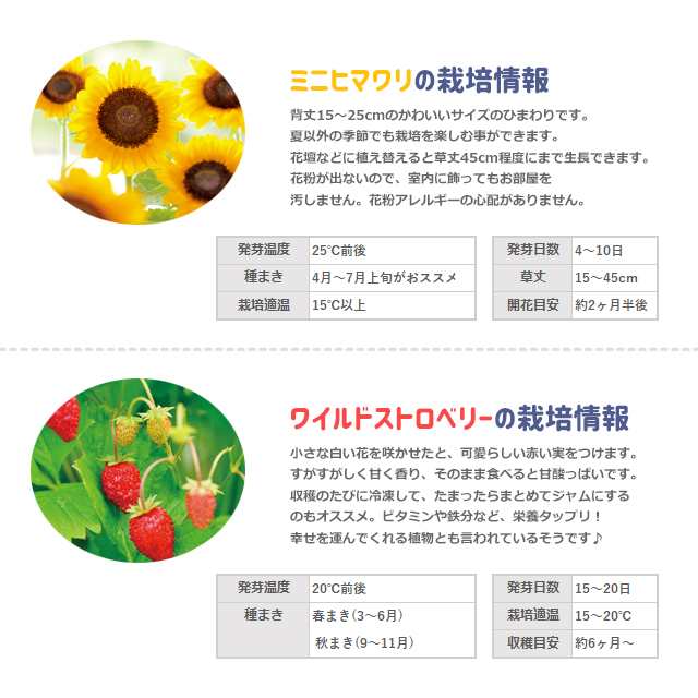 聖新陶芸 Grow Canister グローキャニスター 栽培キット 野イチゴ ワイルドストベリー ヒマワリ ディズニー Disney ミッキーマウス ミニの通販はau Pay マーケット Fine Dream