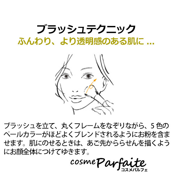 アルビオン ALBION エレガンス Elegance ラ プードル オートニュアンス #II フェミニン 8.8g メール便対応