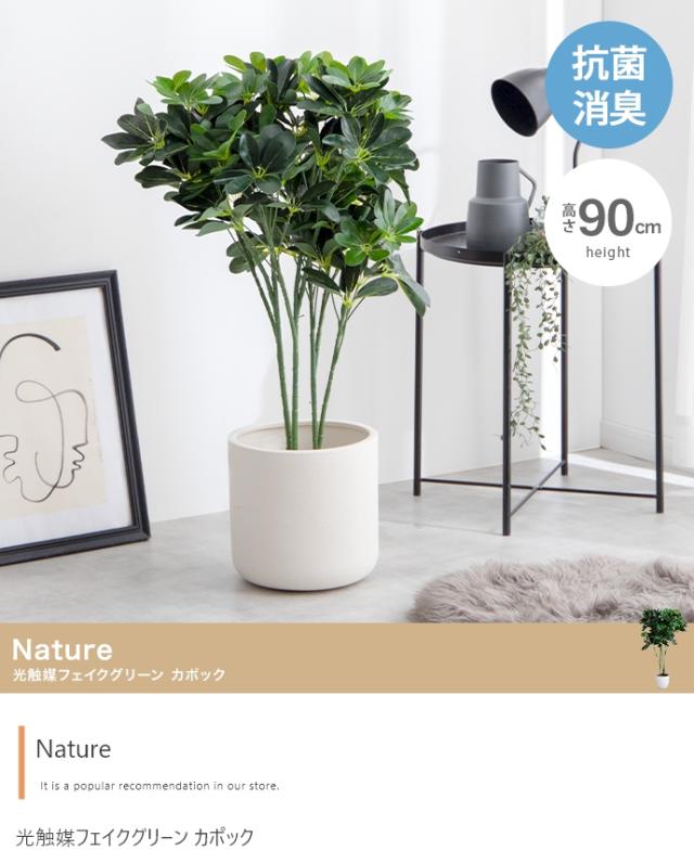 光触媒人工観葉植物 fake green カポック (約)幅40cm×奥行40cm×高さ90cm 照明光が当たることで消臭・抗菌・防汚・ホルムアルデヒド分解の効果を発揮 フェイクグリーン 造花 水やり不要 空気清浄 イミテーショングリーン_1