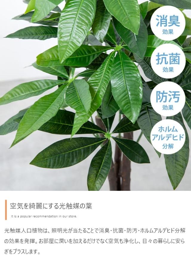 光触媒人工観葉植物 fake green カポック (約)幅40cm×奥行40cm×高さ90cm 照明光が当たることで消臭・抗菌・防汚・ホルムアルデヒド分解の効果を発揮 フェイクグリーン 造花 水やり不要 空気清浄 イミテーショングリーン_3
