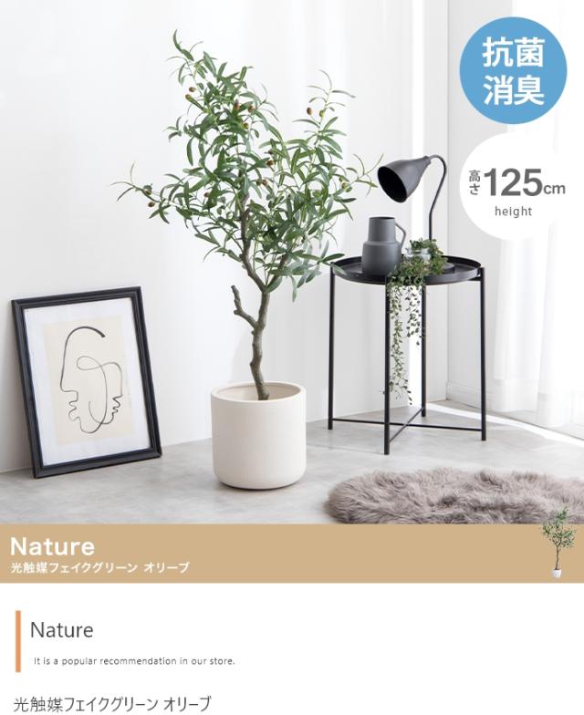 光触媒人工観葉植物 fake green オリーブ　(約)幅60cm×奥行60cm×高さ125cm 照明光が当たることで消臭・抗菌・防汚・ホルムアルデヒド分解の効果を発揮 フェイクグリーン 造花 水やり不要 空気清浄 イミテーショングリーン_1