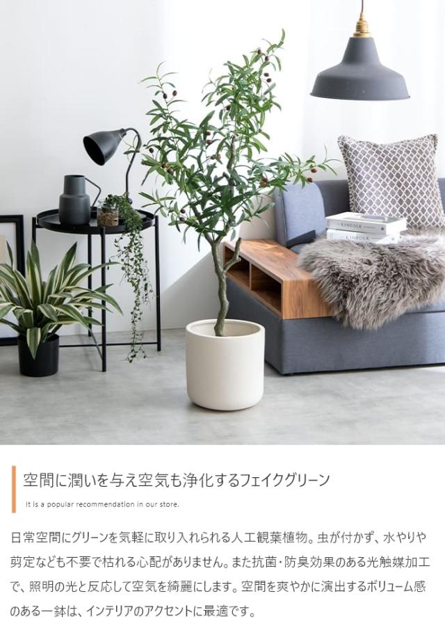 光触媒人工観葉植物 fake green オリーブ　(約)幅60cm×奥行60cm×高さ125cm 照明光が当たることで消臭・抗菌・防汚・ホルムアルデヒド分解の効果を発揮 フェイクグリーン 造花 水やり不要 空気清浄 イミテーショングリーン_2