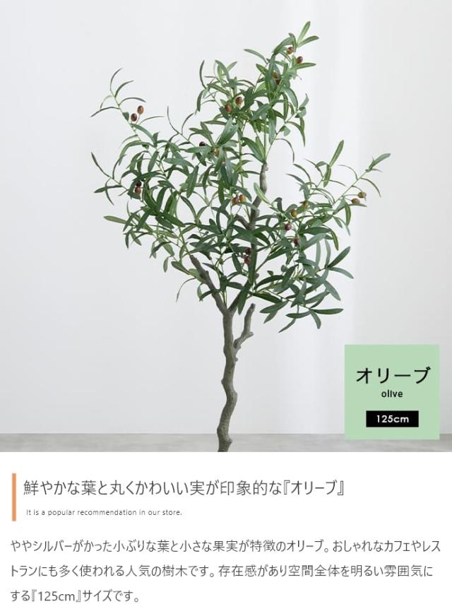 光触媒人工観葉植物 fake green オリーブ　(約)幅60cm×奥行60cm×高さ125cm 照明光が当たることで消臭・抗菌・防汚・ホルムアルデヒド分解の効果を発揮 フェイクグリーン 造花 水やり不要 空気清浄 イミテーショングリーン_4