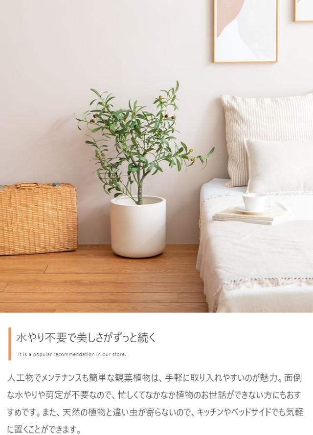 光触媒人工観葉植物 fake green オリーブ　(約)幅60cm×奥行60cm×高さ125cm 照明光が当たることで消臭・抗菌・防汚・ホルムアルデヒド分解の効果を発揮 フェイクグリーン 造花 水やり不要 空気清浄 イミテーショングリーン_5