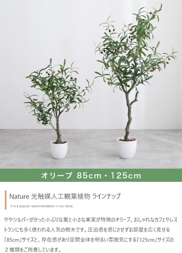 光触媒人工観葉植物 fake green オリーブ　(約)幅60cm×奥行60cm×高さ125cm 照明光が当たることで消臭・抗菌・防汚・ホルムアルデヒド分解の効果を発揮 フェイクグリーン 造花 水やり不要 空気清浄 イミテーショングリーン_12