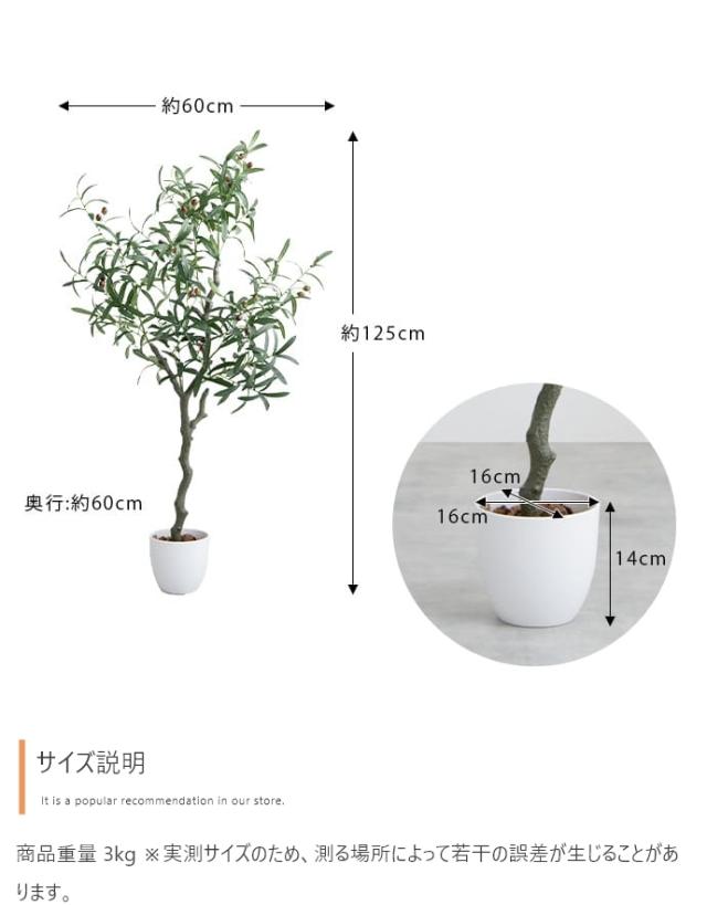 光触媒人工観葉植物 fake green オリーブ　(約)幅60cm×奥行60cm×高さ125cm 照明光が当たることで消臭・抗菌・防汚・ホルムアルデヒド分解の効果を発揮 フェイクグリーン 造花 水やり不要 空気清浄 イミテーショングリーン_16