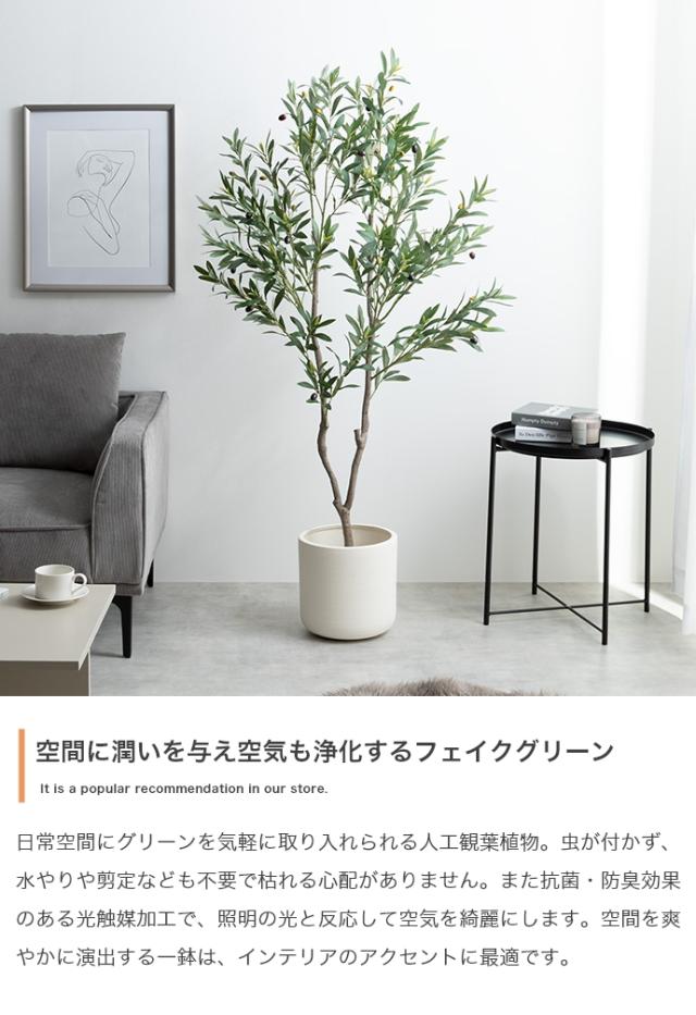 光触媒人工観葉植物 fake green オリーブ　(約)幅55cm×奥行45cm×高さ150cm 照明光が当たることで消臭・抗菌・防汚・ホルムアルデヒド分解の効果を発揮 フェイクグリーン 造花 水やり不要 空気清浄 イミテーショングリーン_1