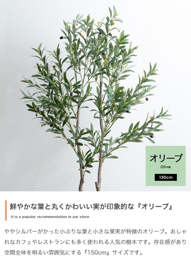 光触媒人工観葉植物 fake green オリーブ　(約)幅55cm×奥行45cm×高さ150cm 照明光が当たることで消臭・抗菌・防汚・ホルムアルデヒド分解の効果を発揮 フェイクグリーン 造花 水やり不要 空気清浄 イミテーショングリーン_3