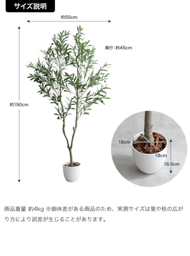 光触媒人工観葉植物 fake green オリーブ　(約)幅55cm×奥行45cm×高さ150cm 照明光が当たることで消臭・抗菌・防汚・ホルムアルデヒド分解の効果を発揮 フェイクグリーン 造花 水やり不要 空気清浄 イミテーショングリーン_14