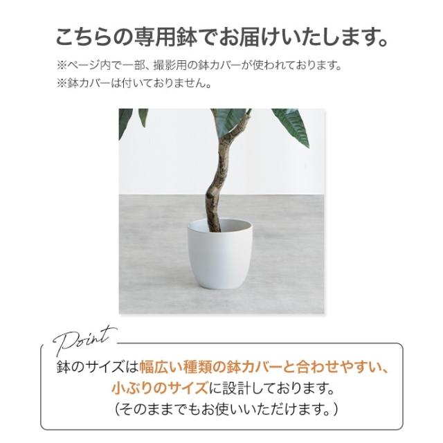 光触媒人工観葉植物 fake green オリーブ　(約)幅55cm×奥行45cm×高さ150cm 照明光が当たることで消臭・抗菌・防汚・ホルムアルデヒド分解の効果を発揮 フェイクグリーン 造花 水やり不要 空気清浄 イミテーショングリーン_15