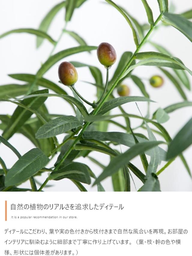 光触媒人工観葉植物 fake green オリーブ　(約)幅55cm×奥行45cm×高さ150cm 照明光が当たることで消臭・抗菌・防汚・ホルムアルデヒド分解の効果を発揮 フェイクグリーン 造花 水やり不要 空気清浄 イミテーショングリーン_5