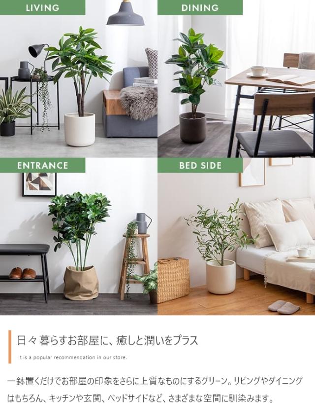 光触媒人工観葉植物 fake green オリーブ　(約)幅60cm×奥行60cm×高さ125cm 照明光が当たることで消臭・抗菌・防汚・ホルムアルデヒド分解の効果を発揮 フェイクグリーン 造花 水やり不要 空気清浄 イミテーショングリーン_10