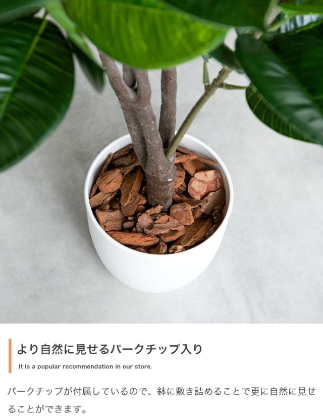 光触媒人工観葉植物 fake green ユーカリ (約)幅50cm×奥行44cm×高さ