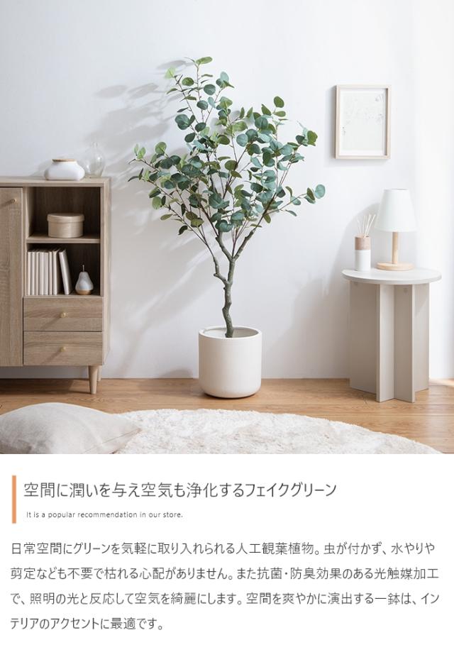 光触媒人工観葉植物 fake green ユーカリ (約)幅80cm×奥行50cm×高さ130cm 照明光が当たることで消臭・抗菌・防汚・ホルムアルデヒド分解の効果を発揮 フェイクグリーン 造花 水やり不要 空気清浄 イミテーショングリーン_2