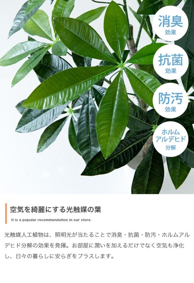 光触媒人工観葉植物 fake green ユーカリ (約)幅80cm×奥行50cm×高さ130cm 照明光が当たることで消臭・抗菌・防汚・ホルムアルデヒド分解の効果を発揮 フェイクグリーン 造花 水やり不要 空気清浄 イミテーショングリーン_3