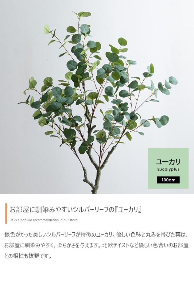 光触媒人工観葉植物 fake green ユーカリ (約)幅80cm×奥行50cm×高さ130cm 照明光が当たることで消臭・抗菌・防汚・ホルムアルデヒド分解の効果を発揮 フェイクグリーン 造花 水やり不要 空気清浄 イミテーショングリーン_4