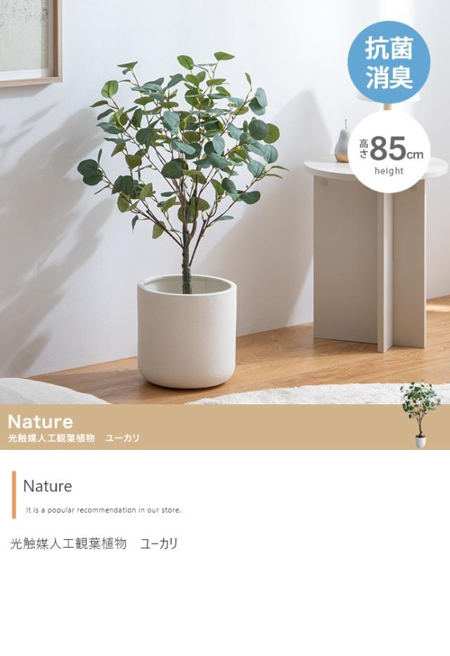 光触媒人工観葉植物 fake green ユーカリ (約)幅50cm×奥行44cm×高さ