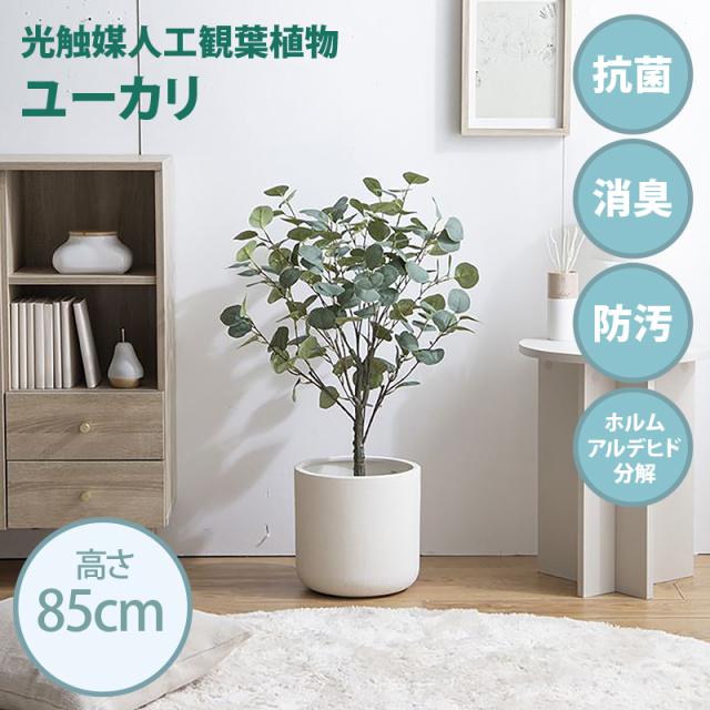 光触媒 観葉植物 フェイクグリーン 人工観葉植物 消臭 壁 壁掛け グリーン 植物 造花 玄関 壁面 ｜MedianField  観葉植物 光触媒 ミニ 鉢植え 3個 セット