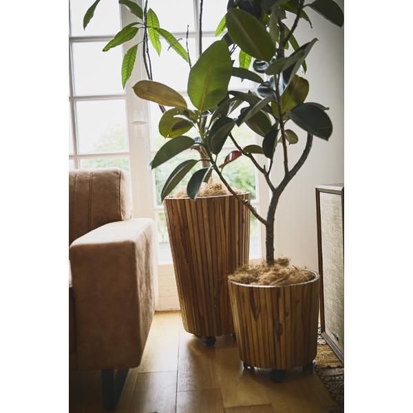 50 Off デザイン シンプルプランター 9号用植木鉢カバー グリーンベース ウッドタイプ木製 円すい型 丸型 植物は付属しておりません Re 公式 Arnabmobility Com