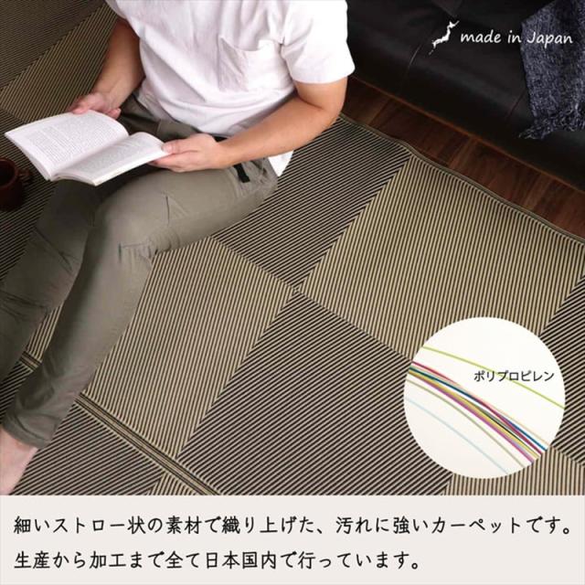 い草風ラグ 2枚セット LALU 江戸間4.5畳 幅261 奥行261cm ブラウン ブラック 日本製 国産 洗えるペット対応ラグ 畳風ラグ 夏 ラグ 洗える ペットラグ ラグ ペット用 防水 軽量 傷防止 和モダン ラグマット ゴザ ラグマット ゴザ 寝ござ 夏ラグ 夏用_2
