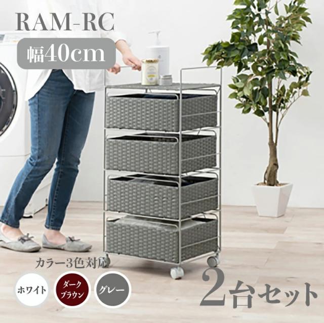 (送料別途)(直送品)サカエ 作業台用オプションキャビネット NKL-S20IA サカエ 作業台用オプションキャビネット NKL-S10WC 37573 送料別途