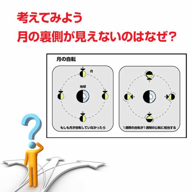 三球儀 組み立てキット 天体模型 小学生 中学生 子供 工作 自由研究