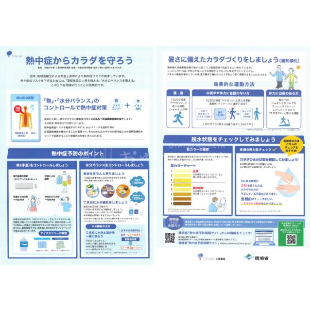 大塚製薬 ポカリスエット アイススラリー 100g×36個 常温保存可能
