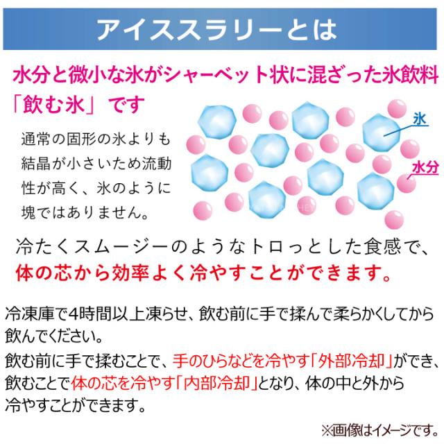 飲む氷 Ume アイススラリー 1ケース 80個入り 国産 梅